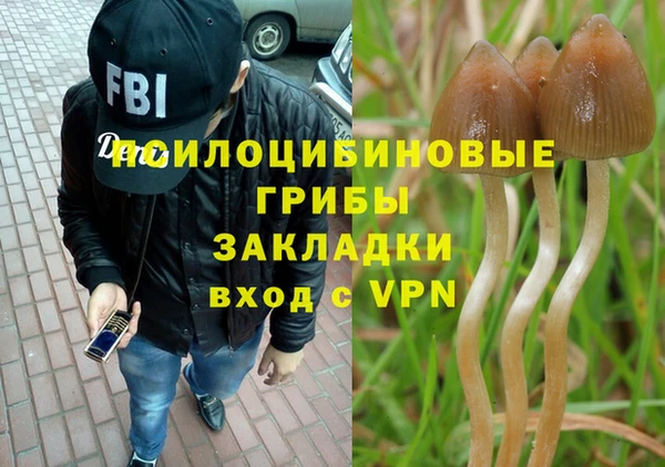 кристаллы Алексин