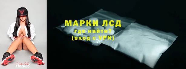 хмурый Алзамай