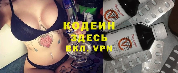 хмурый Алзамай