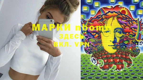 хмурый Алзамай