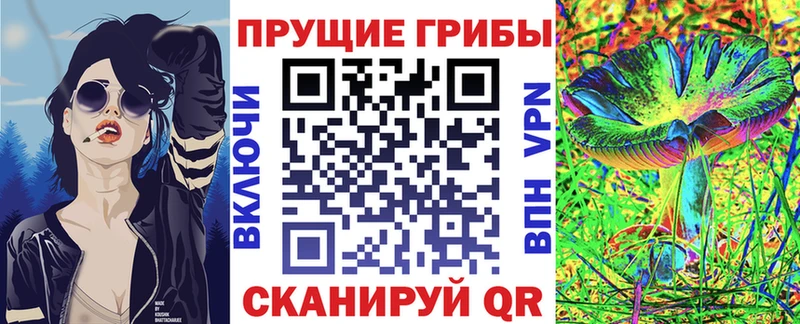 Галлюциногенные грибы Psilocybine cubensis  omg tor  Краснознаменск 