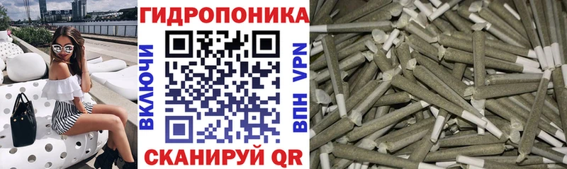 Шишки марихуана THC 21%  Краснознаменск 